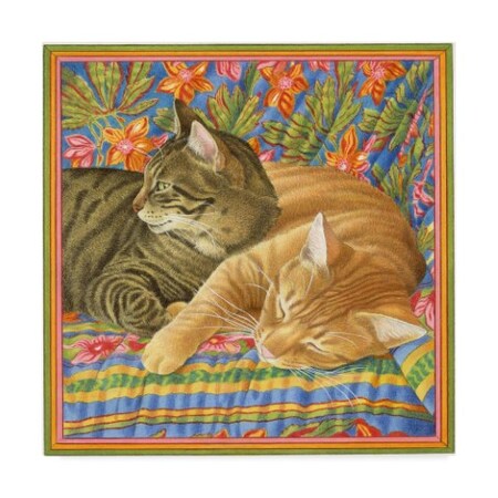 Trademark Fine Art Francien Van Westering 'Two Sleepy Cats' Canvas Art, 18x18 ALI34707-C1818GG